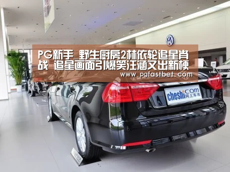 PG新手_野生厨房2林依轮追星肖战 追星画面引爆笑汪涵又出新梗(图1) PG新手
