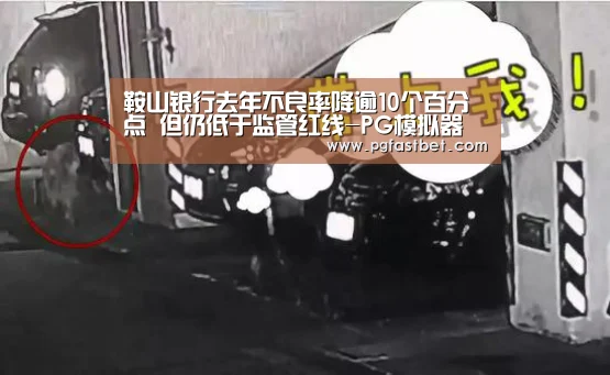 PG新手