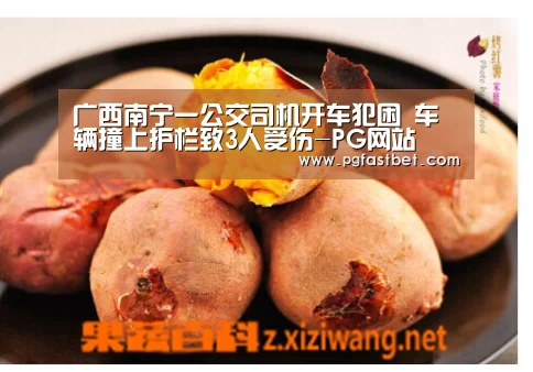 广西南宁一公交司机开车犯困 车辆撞上护栏致3人受伤-PG网站(图3) PG网站