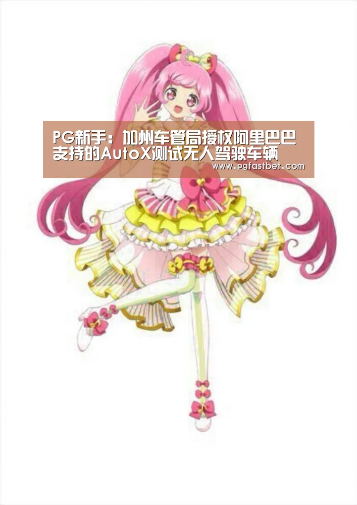 PG新手