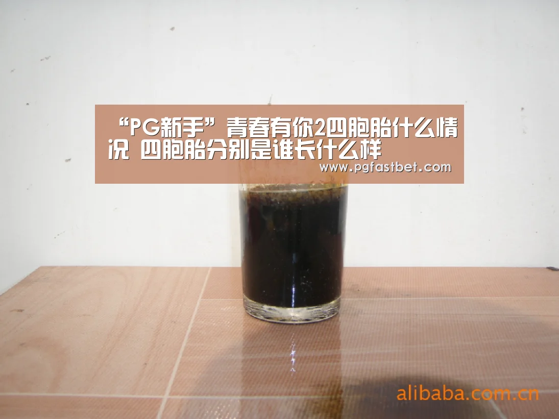 “PG新手”青春有你2四胞胎什么情况 四胞胎分别是谁长什么样(图2) PG试玩