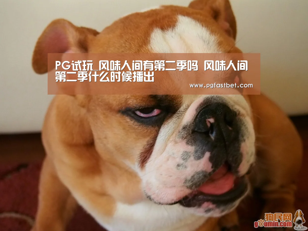 PG模拟器