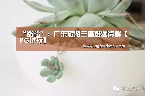 PG新手